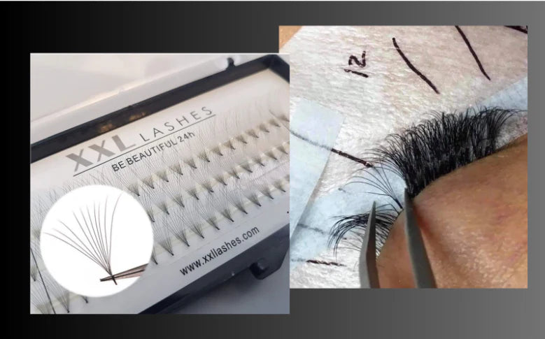 Einfhrung in Wimpernfcher: Was sind sie und wie werden sie verwendet?   XXL Lashes