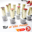 Warehouse Clearance Sale: 10x UV Nail Polish - with or without Label