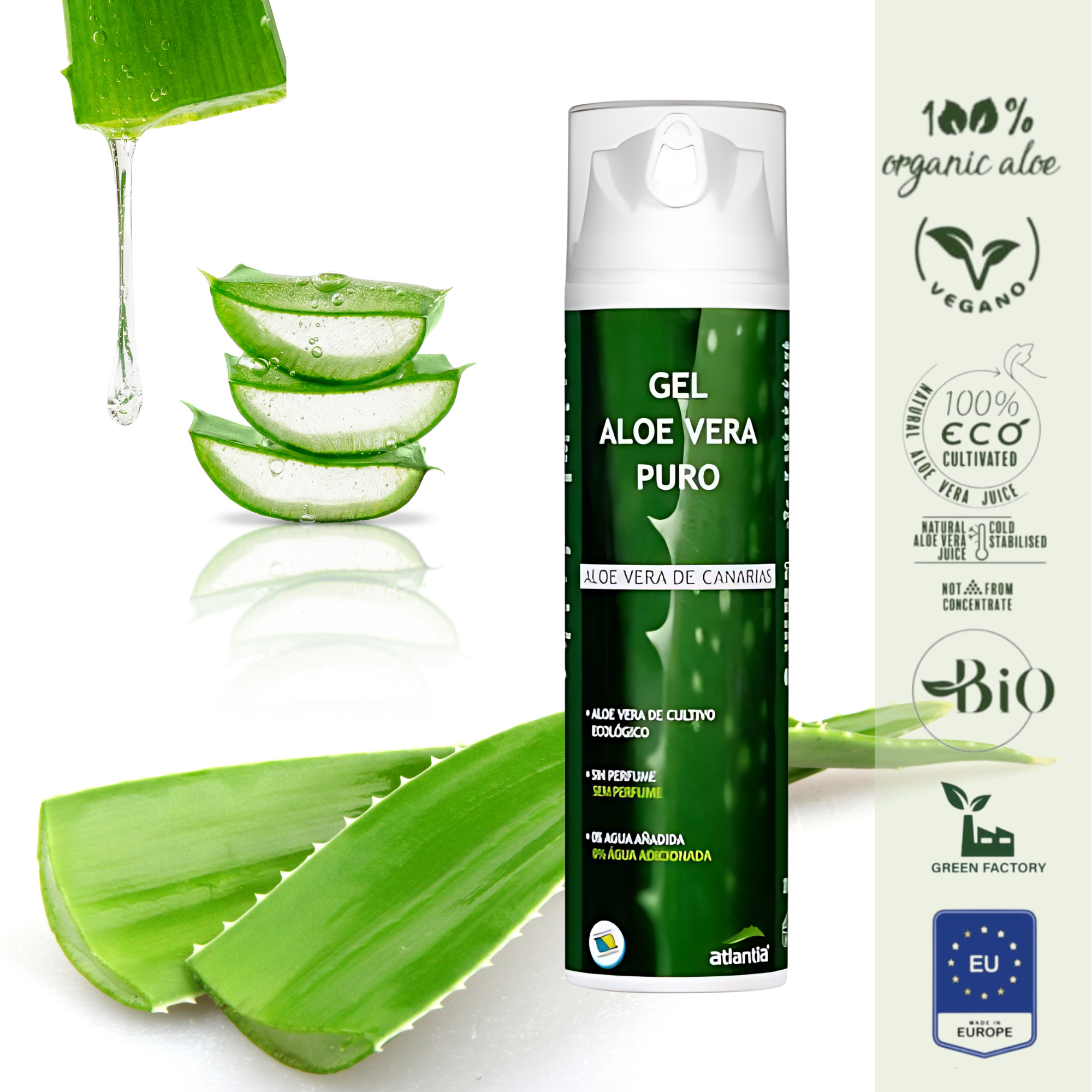 Aloe Vera Gel Puro, 100% natural, organic, vegan – XXL Lashes