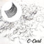 5D - Wimpernfächer - 500 Stk. | C-Curl
