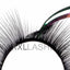 Camelia Mink Lashes  Innovation for Russian Volume 3D-6D