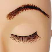 Set of Practice Eyelash Strips