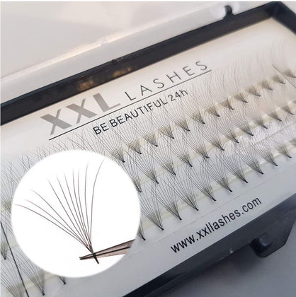 10D - Premade Fans - 60pcs | C-Curl